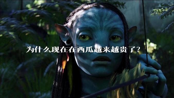 为什么现在在西瓜越来越贵了？